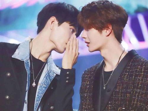 娱乐圈吃瓜cp博君一肖,娱乐圈的甜蜜瓜田，CP互动引粉丝狂欢